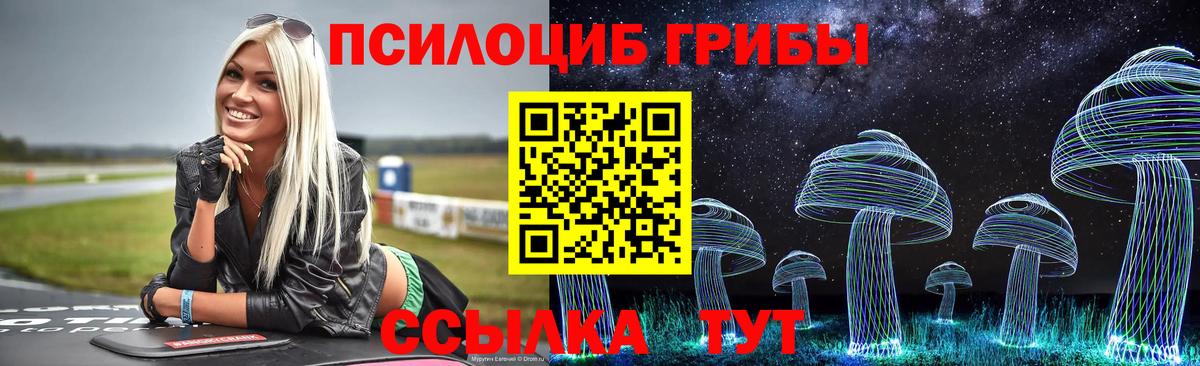 Псилоцибиновые грибы Psilocybe Нижнеудинск